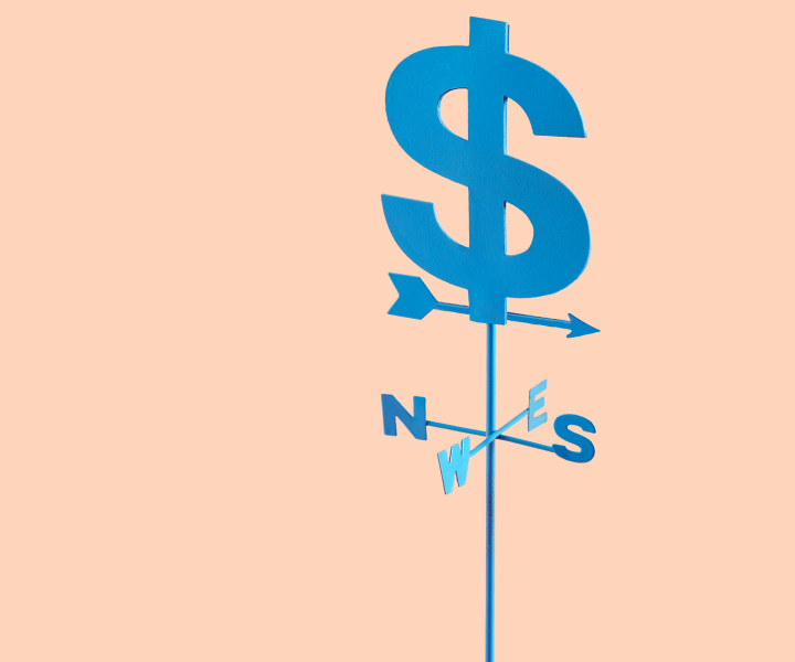 A weathervane with a U.S. dollar sign at its peak, indicating the direction of financial success.